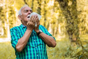 Older man is standing in nature and sneezing, suffering from senior allergies